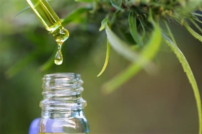 CBD vs. THC: Sve što trebate znati