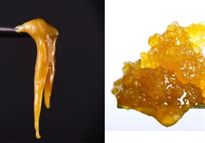 Live Ren vs. Live Rosin: Koja je razlika?